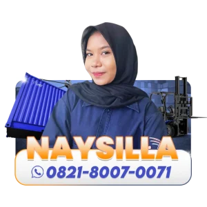 CTA-Naysilla